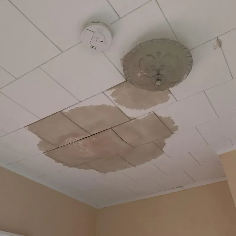 Ceiling Water Damage Repair in Lakeshore, LA